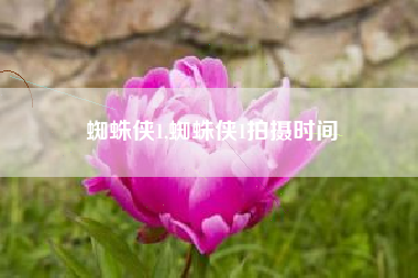 蜘蛛侠1,蜘蛛侠1拍摄时间