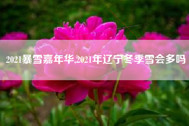 2021暴雪嘉年华,2021年辽宁冬季雪会多吗