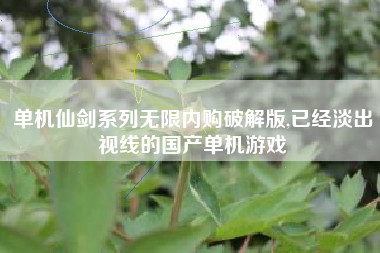 单机仙剑系列无限内购破解版,已经淡出视线的国产单机游戏