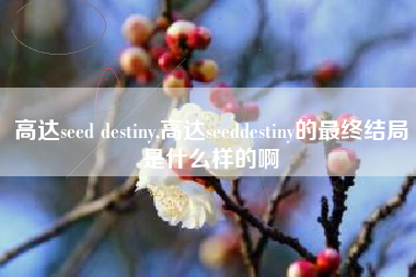 高达seed destiny,高达seeddestiny的最终结局是什么样的啊