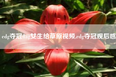 edg夺冠flag女生给草原视频,edg夺冠观后感