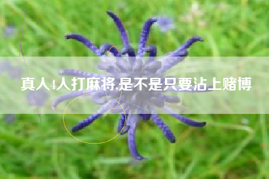 真人4人打麻将,是不是只要沾上赌博