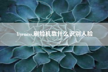 liveness,刷脸机靠什么识别人脸