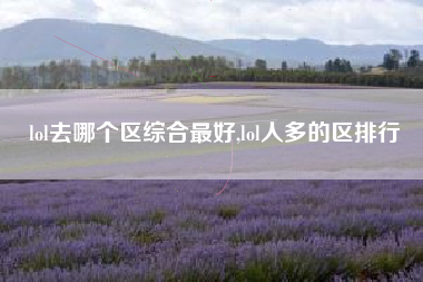 lol去哪个区综合最好,lol人多的区排行