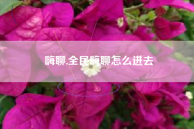 嗨聊,全民嗨聊怎么进去