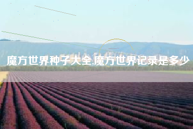 魔方世界种子大全,魔方世界记录是多少