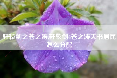 轩辕剑之苍之涛,轩辕剑4苍之涛天书居民怎么分配