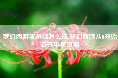 梦幻西游零基础怎么玩,梦幻西游从0开始五开平民攻略