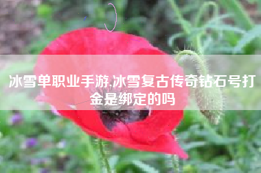 冰雪单职业手游,冰雪复古传奇钻石号打金是绑定的吗