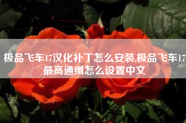 极品飞车17汉化补丁怎么安装,极品飞车17最高通缉怎么设置中文