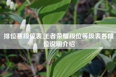 排位赛段位表,王者荣耀段位等级表各段位说明介绍