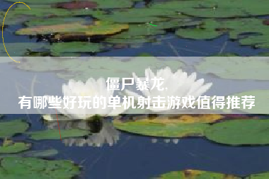 僵尸暴龙,
有哪些好玩的单机射击游戏值得推荐