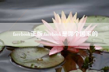 facebook正版,facebook是哪个国家的