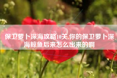 保卫萝卜深海攻略10关,你的保卫萝卜深海鲸鱼后来怎么出来的啊