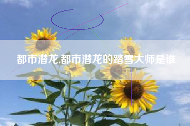 都市潜龙,都市潜龙的踏雪大师是谁