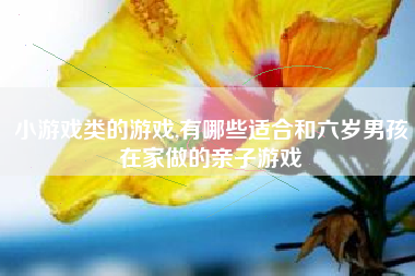 小游戏类的游戏,有哪些适合和六岁男孩在家做的亲子游戏