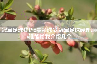 冠军足球物语2最强球员,冠军足球经理2006谁能给我介绍几个