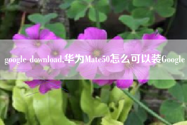 google download,华为Mate50怎么可以装Google