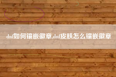 dnf如何镶嵌徽章,dnf皮肤怎么镶嵌徽章