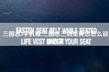 三国志3手机版,三国志三剑圣黄忠怎么设置连发