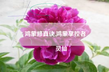 鸿蒙修真诀,鸿蒙掌控者
灵仙 鸿蒙修真诀,鸿蒙掌控者
灵仙