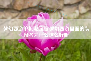 梦幻西游单机电脑版,梦幻西游里面的装备名为什么这么好听