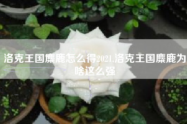 洛克王国麋鹿怎么得2021,洛克王国麋鹿为啥这么强