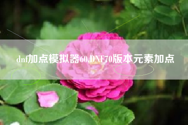 dnf加点模拟器60,DNF70版本元素加点