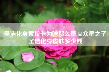 圣洁化身索拉卡为啥那么贵,lol众星之子圣洁化身皮肤多少钱