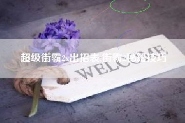 超级街霸2x出招表,街霸2秘籍技巧