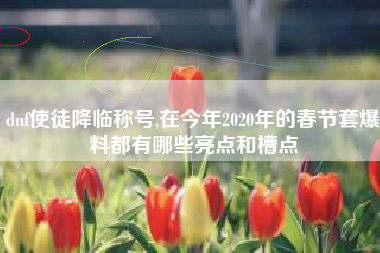 dnf使徒降临称号,在今年2020年的春节套爆料都有哪些亮点和槽点