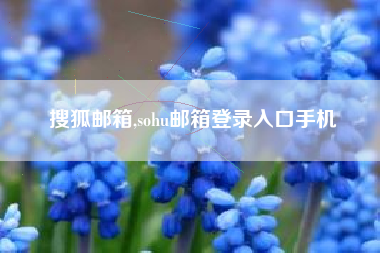 搜狐邮箱,sohu邮箱登录入口手机