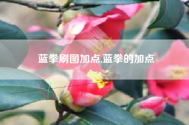 蓝拳刷图加点,蓝拳的加点