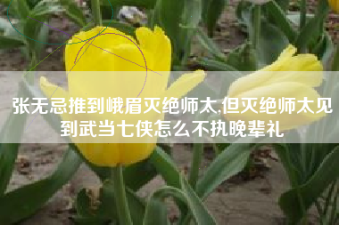 张无忌推到峨眉灭绝师太,但灭绝师太见到武当七侠怎么不执晚辈礼