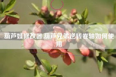 葫芦娃修改器,葫芦兄弟逆转卷轴如何使用