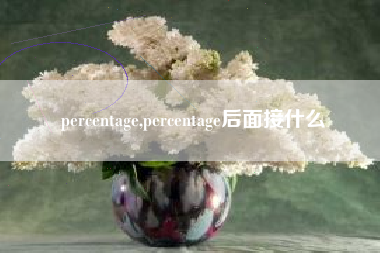 percentage,percentage后面接什么