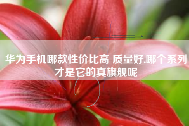 华为手机哪款性价比高 质量好,哪个系列才是它的真旗舰呢