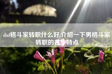 dnf格斗家转职什么好,介绍一下男格斗家转职的各个特点