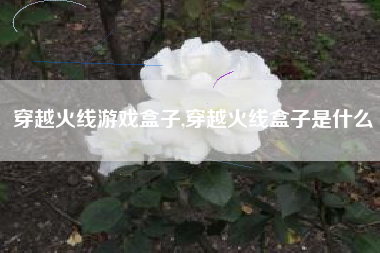 穿越火线游戏盒子,穿越火线盒子是什么