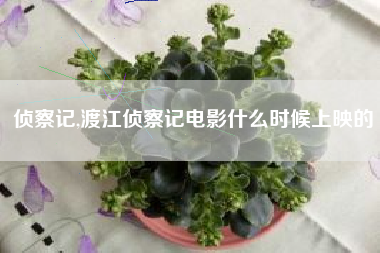 侦察记,渡江侦察记电影什么时候上映的
