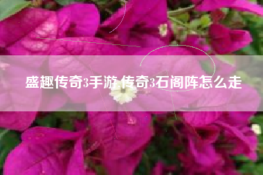 盛趣传奇3手游,传奇3石阁阵怎么走