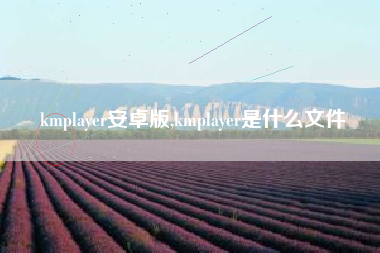 kmplayer安卓版,kmplayer是什么文件