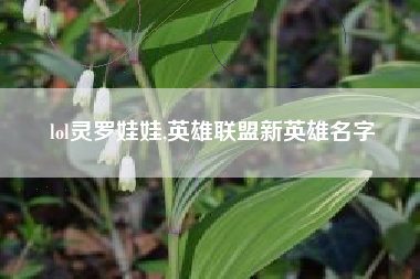 lol灵罗娃娃,英雄联盟新英雄名字