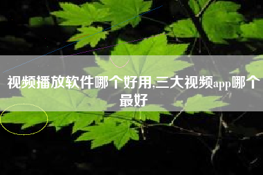 视频播放软件哪个好用,三大视频app哪个最好