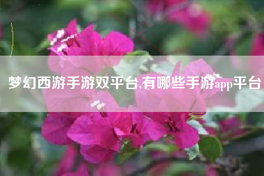 梦幻西游手游双平台,有哪些手游app平台