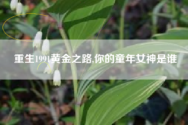 重生1991黄金之路,你的童年女神是谁