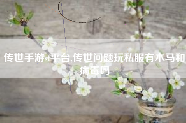 传世手游sf平台,传世问题玩私服有木马和病毒吗