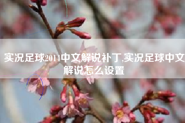 实况足球2014中文解说补丁,实况足球中文解说怎么设置