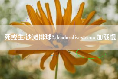 死或生:沙滩排球2,deadoralivextreme加载慢