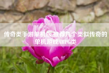 传奇类手游单机版,推荐几个类似传奇的单机游戏ARPG类